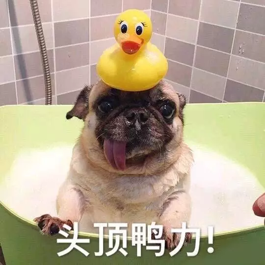 官網.jpg 官網.jpg